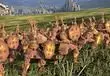 Total War: Warhammer 3's Radious Mod Expands Kislev and Cathay's Rosters, Brings Many Other Changes