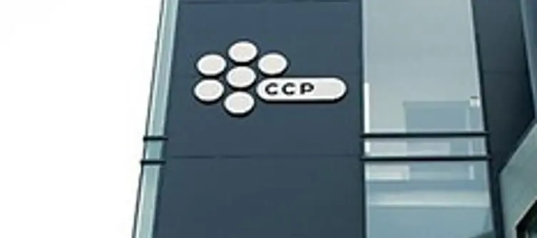 Staff let go from CCP being helped "to make contacts," says CEO