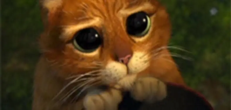 THQ's Puss In Boots "just prior" to DreamWorks new animation