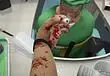 Anniversary Edition DLC available for Surgeon Simulator”