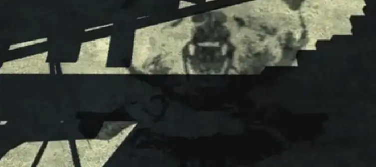Modern Warfare 3 easter egg features a bear in a tutu