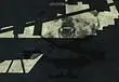 Modern Warfare 3 easter egg features a bear in a tutu