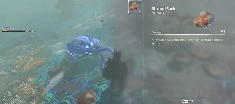 How to Get Shroud Sacks in Enshrouded