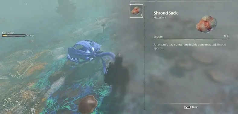 How to Get Shroud Sacks in Enshrouded