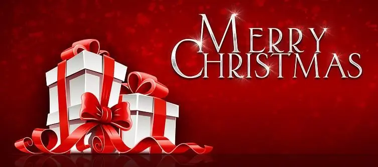 Strategy Informer Wishes you a Merry Christmas and a Happy New Year