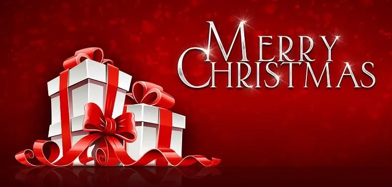 Strategy Informer Wishes you a Merry Christmas and a Happy New Year