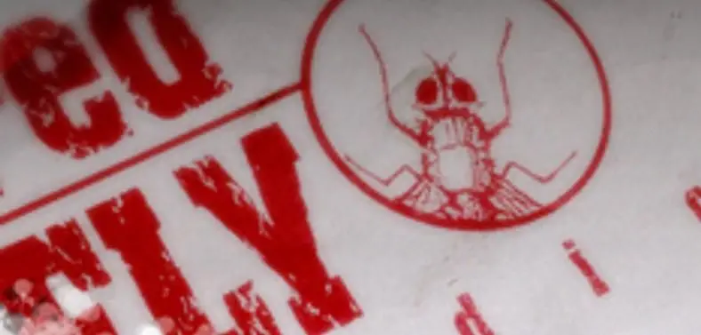 Cancelled "next-gen Star Wars title" was cause of Red Fly cuts?