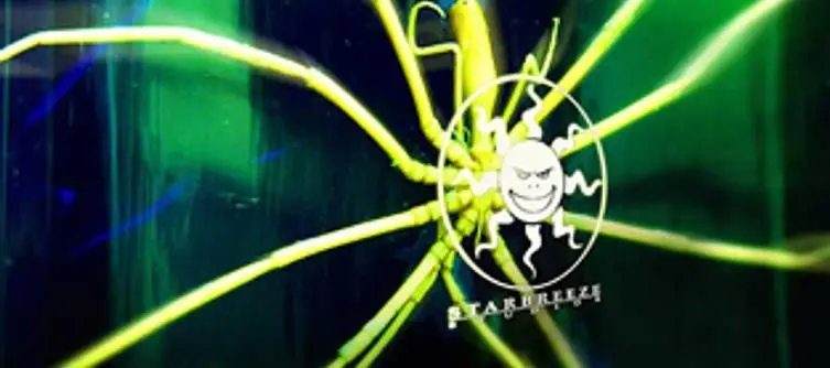 Starbreeze have PSN project in the works