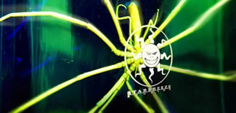 Starbreeze have PSN project in the works