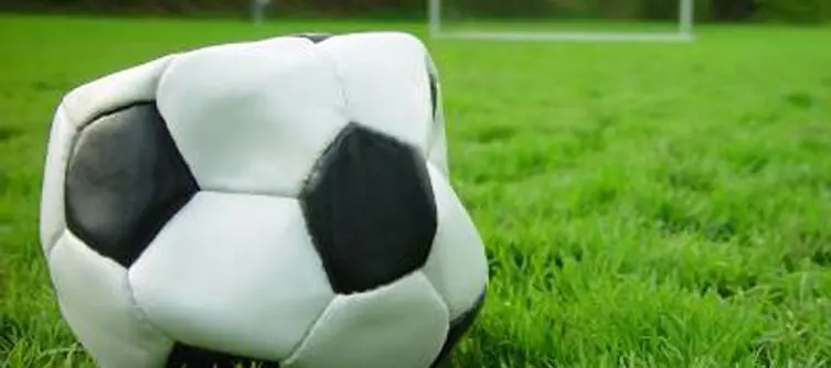 FIFA 14 not using EA Sports' Ignite engine on PC