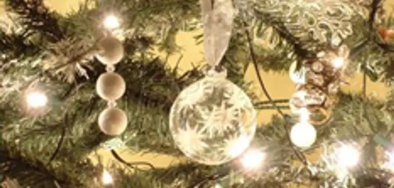 Sony reiterates GT5 due "before Christmas," includes US launch