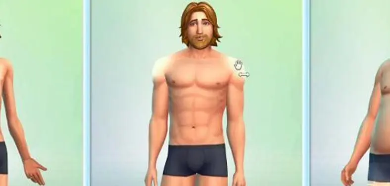 The fat and the skinny told about The Sims 4