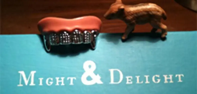 Might and Delight studio from Bionic Commando Rearmed dev team