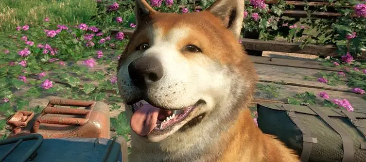 Far Cry New Dawn Timber - How to Get the Dog Ally?