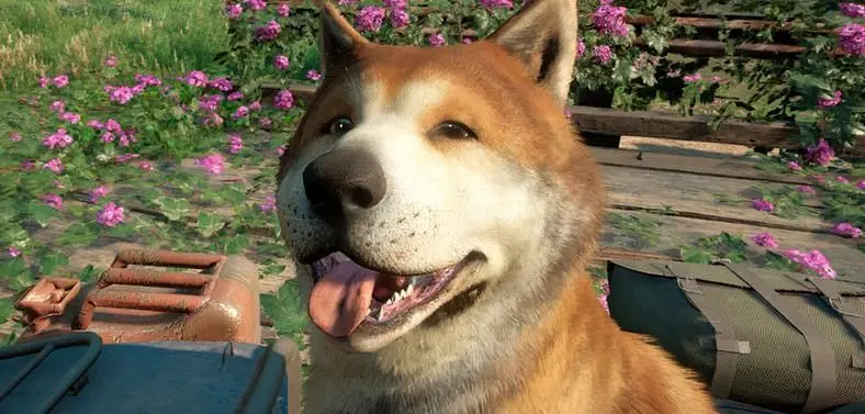 Far Cry New Dawn Timber - How to Get the Dog Ally?