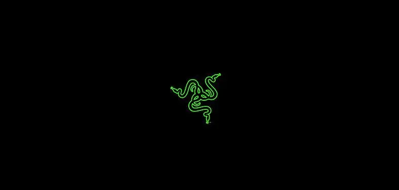 Razer Leaks 100,000 Customers' Private Information