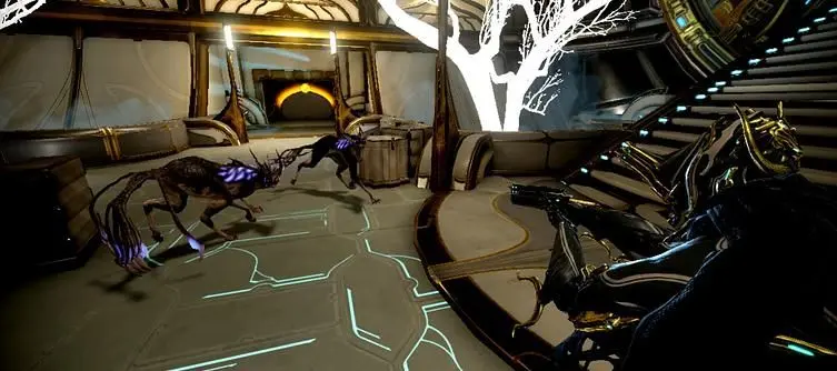 Warframe: How to Breed a Kavat 