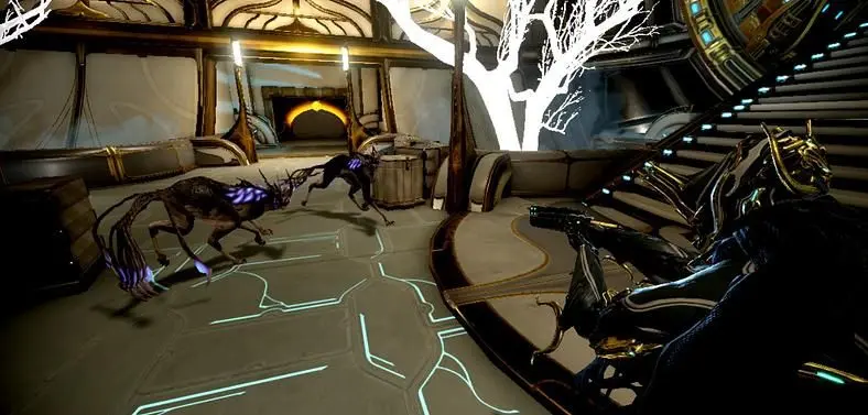 Warframe: How to Breed a Kavat 