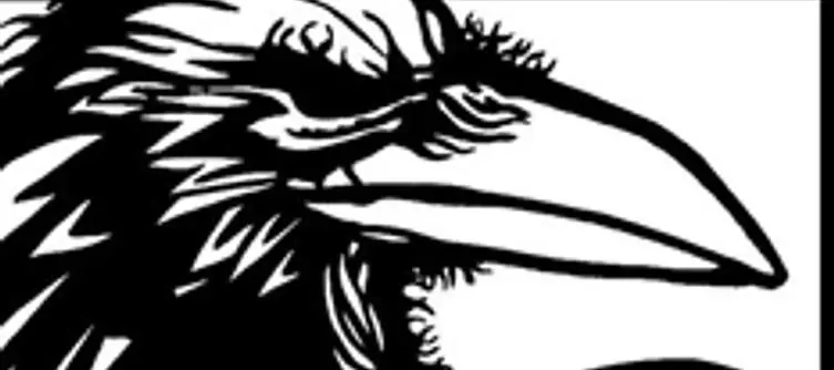 Online resume has Raven team on "international movie license"
