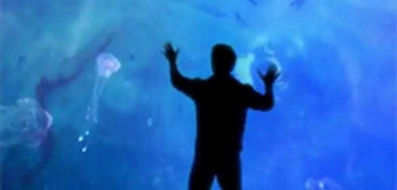 E3 2010: Child of Eden uses pads