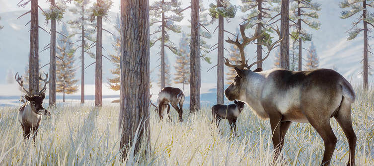 Planet Zoo Patch Notes - Arctic Pack and Update 1.1.0 Released