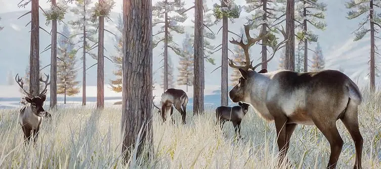 Planet Zoo Patch Notes - Arctic Pack and Update 1.1.0 Released