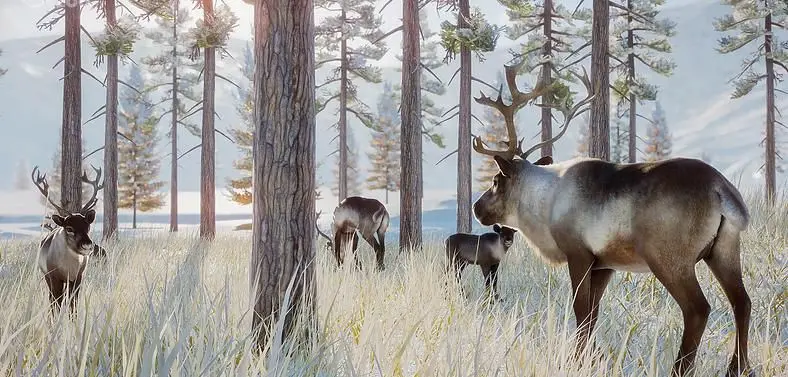Planet Zoo Patch Notes - Arctic Pack and Update 1.1.0 Released