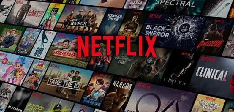Netflix's Main Enemy is Fortnite