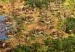 Age of Empires II: Definitive Edition - The Last Chieftains Releases This February, Brings Three South American Civilizations