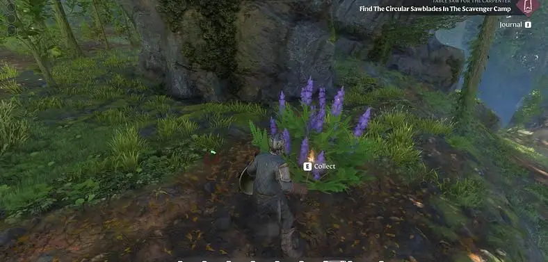 Enshrouded Indigo Plants Locations and uses 