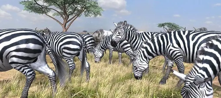 SCEE: Afrika won't be released in Europe