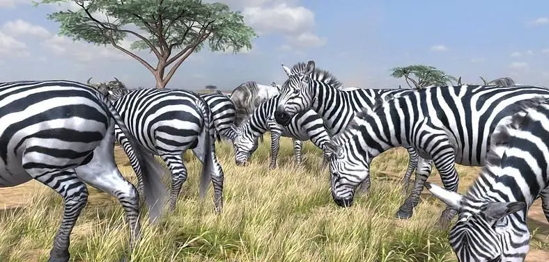 SCEE: Afrika won't be released in Europe