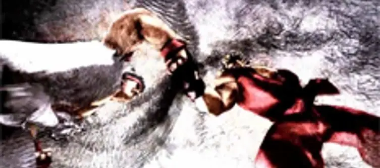Svensson "cautiously optimistic" of PC SSFIV, "not given up"