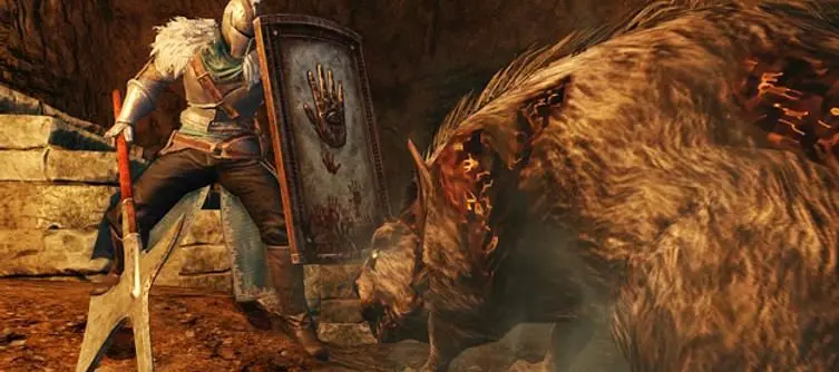 Dark Souls II includes six original community designed shields