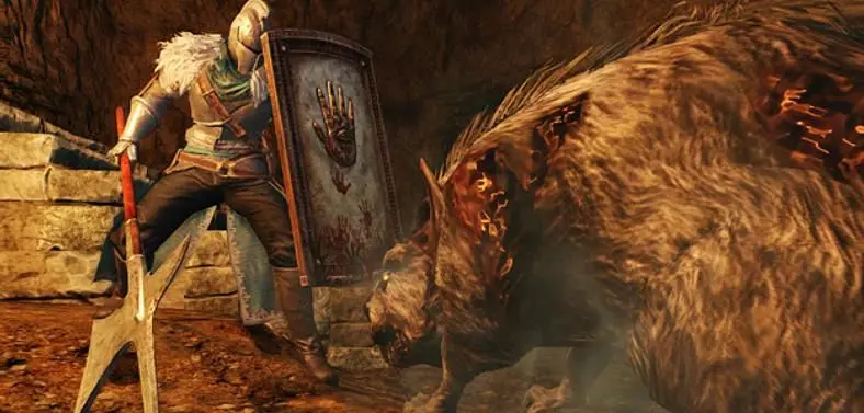 Dark Souls II includes six original community designed shields
