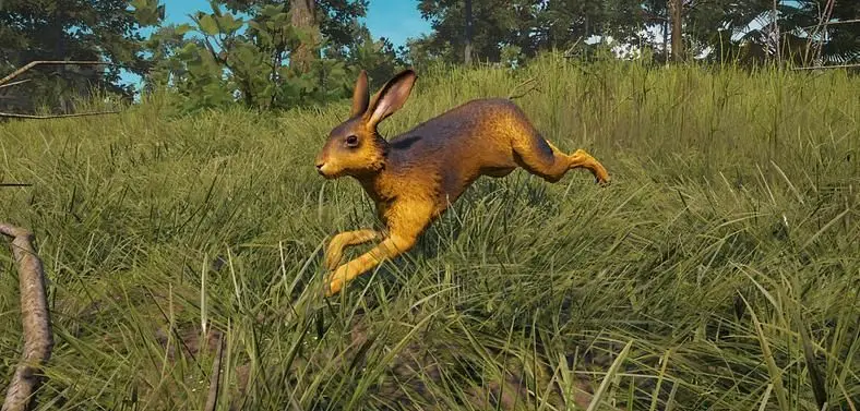 Far Cry: New Dawn Hare Location - Where Can You Hunt the Hare? 