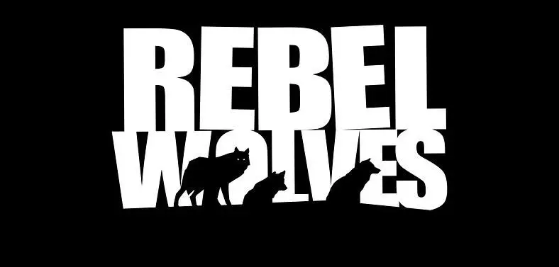 Former CD Projekt Red Developers Announce New Studio Rebel Wolves, working on Dark Fantasy RPG 