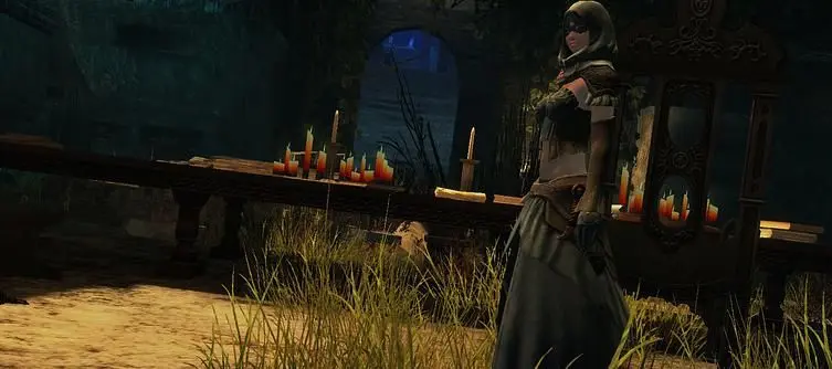 Guild Wars 2 sales force temporary suspension of digital sales