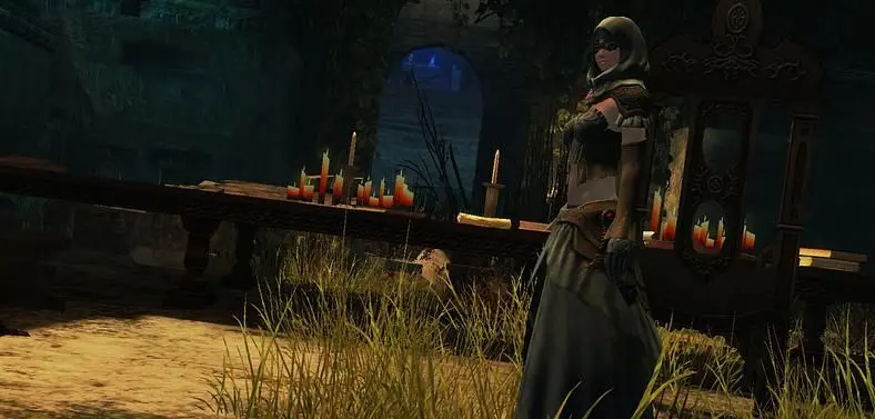 Guild Wars 2 sales force temporary suspension of digital sales