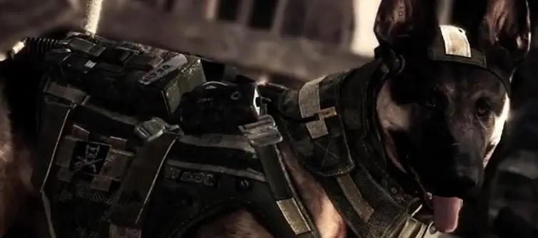 Call of Duty: Ghosts PC update introduces Nvidia's next-gen fur for Riley
