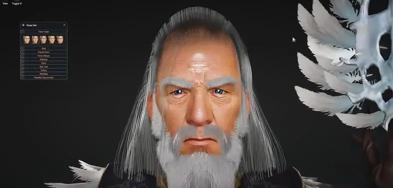 New closed beta test for Black Desert Online coming February 18th, character generator now available