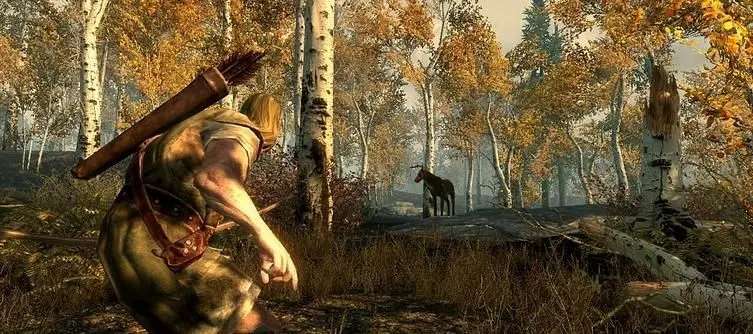 Bethesda's Howard not interested in Elder Scrolls MMO