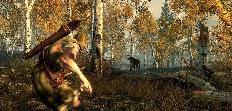 Bethesda's Howard not interested in Elder Scrolls MMO