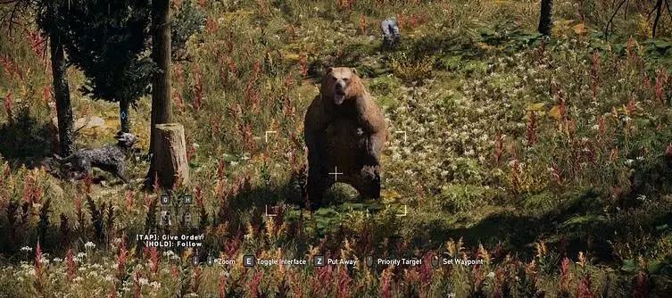 Far Cry 5 - Grizzly Bear Locations