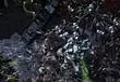Blizzard Zerg rush cheaters, bans over 5,000 StarCraft II gamers
