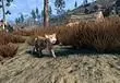 This Skyrim Special Edition Mod Lets You Have Your Very Own Cat Pal