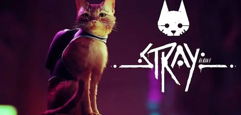 Third-Person Cat Adventure Game Stray Delayed, Gameplay Trailer Shows Off Puzzles, Murky Locations
