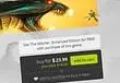 GOG.com celebrate "final week" of birthday, The Witcher free with any purchase