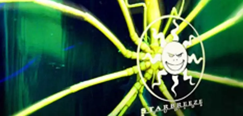 Project RedLime "requires an expansion", reveals Starbreeze