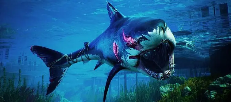 Maneater Steam Release Date - Is It Coming to Steam?